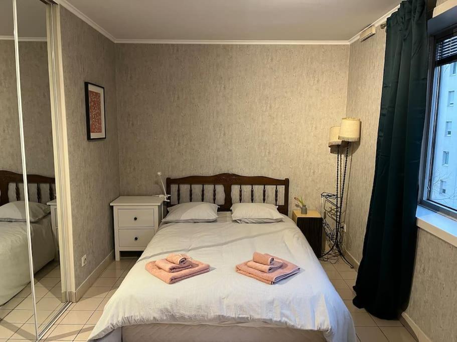 Le Clos Du Chateau Rouge 3* Avec Parking Securise Annemasse